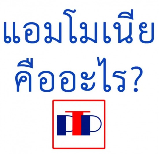 แอมโมเนีย (Ammonia) คืออะไร?